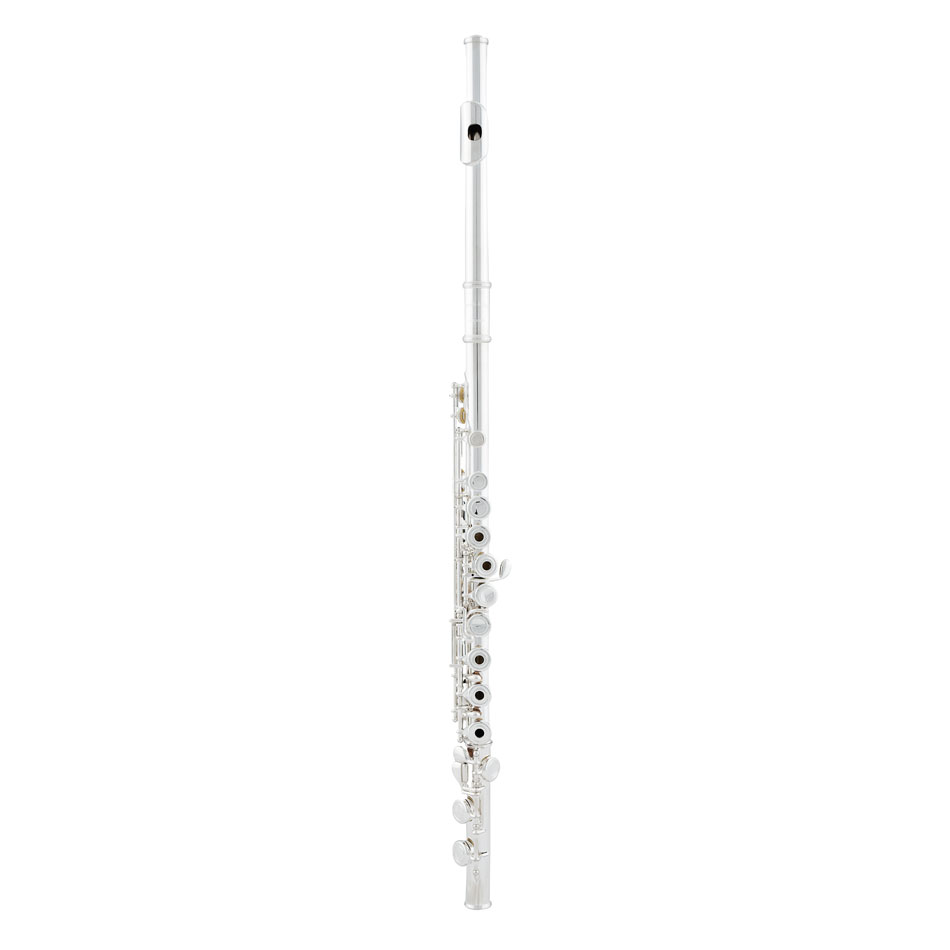 Flauta en Do mod.AFL-320RE, de Arnolds & Sons